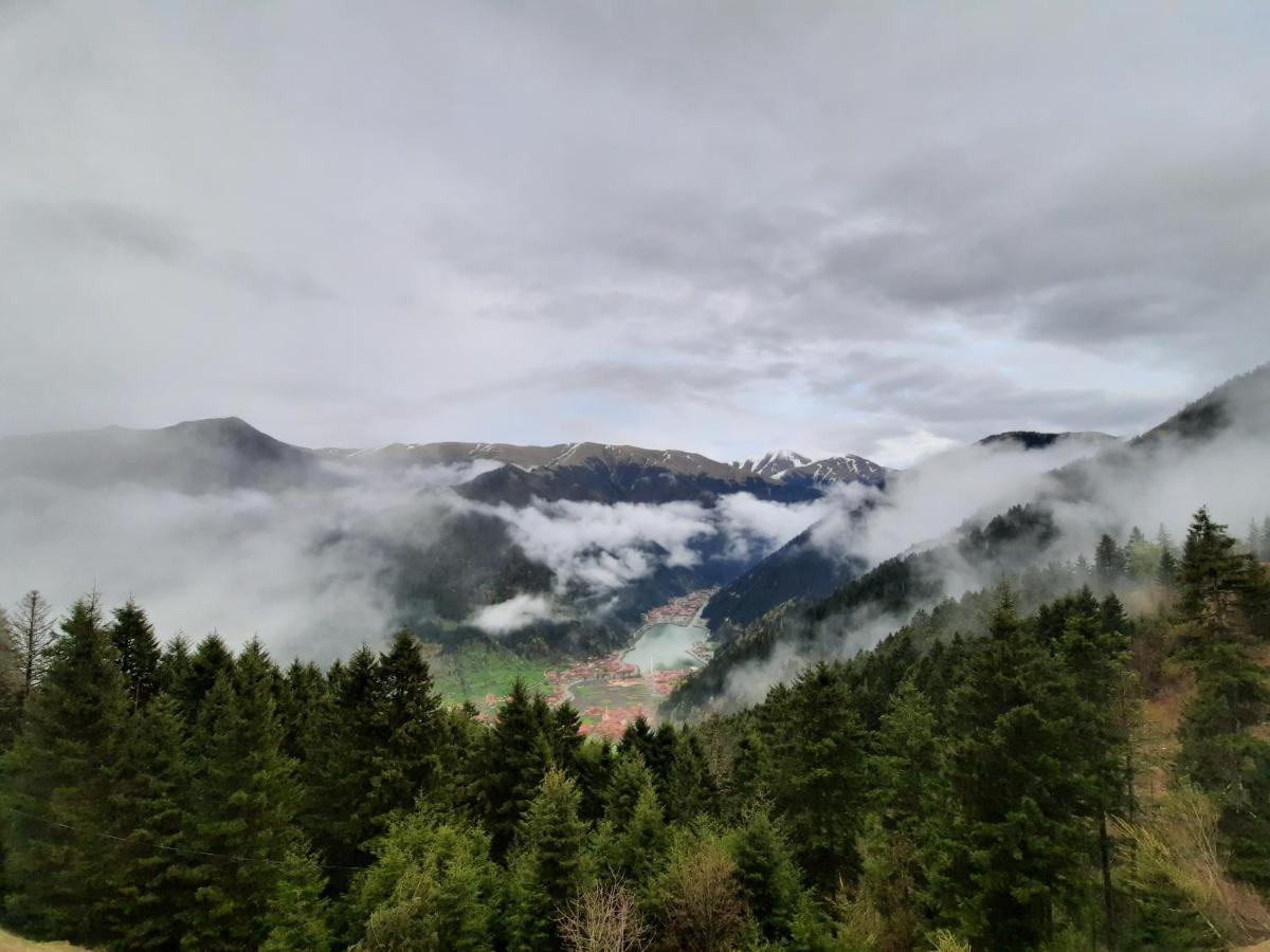 Yesil Kosk Hotel Uzungöl