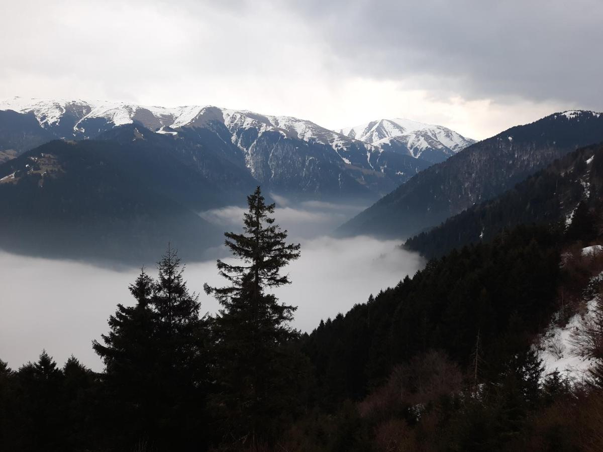 Yesil Kosk Uzungöl