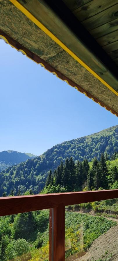 Hotel Yesil Kosk Uzungöl