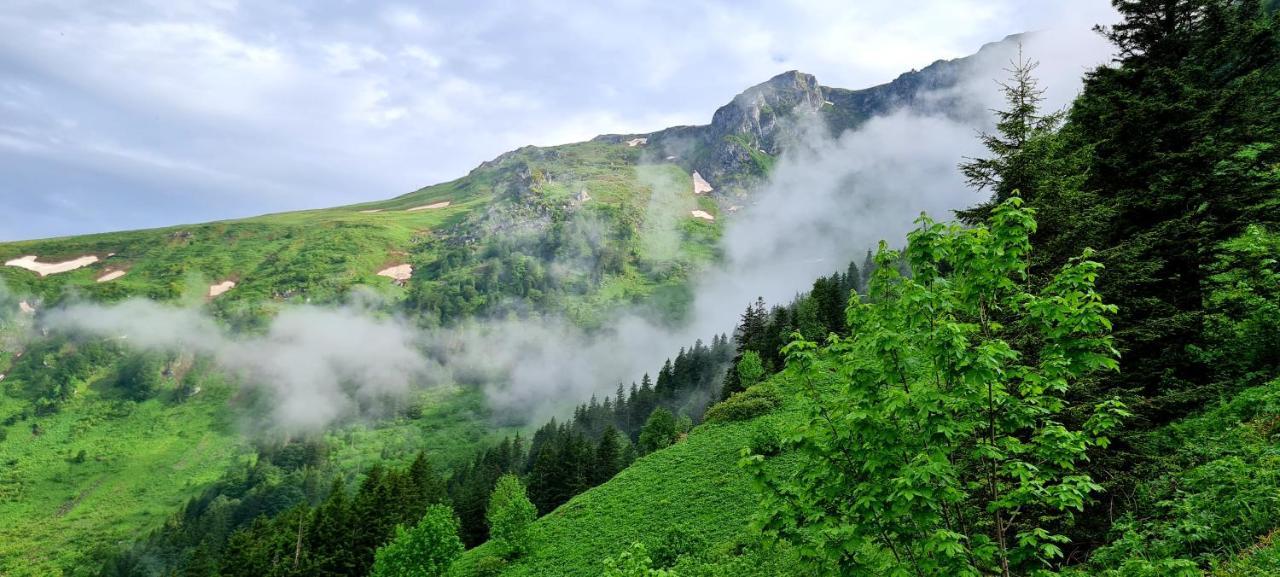 Yesil Kosk Otel 3*