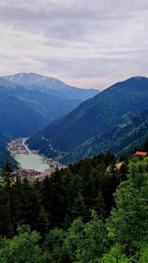 Yesil Kosk Hotel Uzungöl