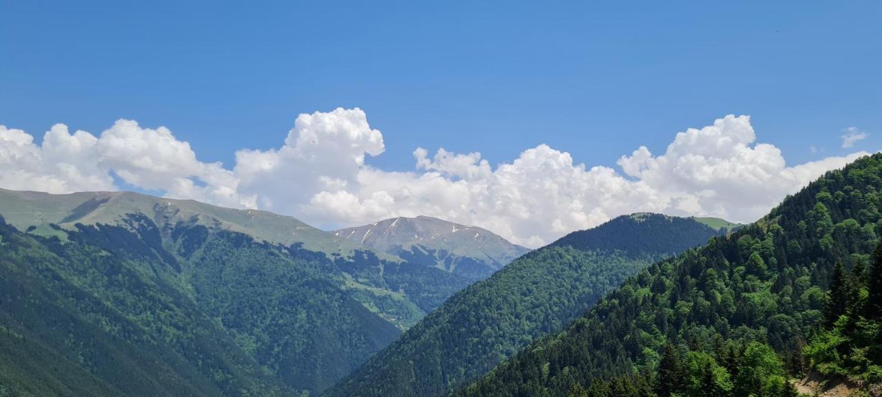 Hotel Yesil Kosk Uzungöl
