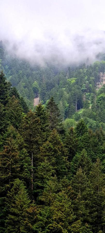 Hotel Yesil Kosk Uzungöl