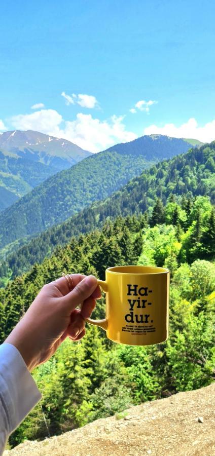 Yesil Kosk 3* Uzungöl