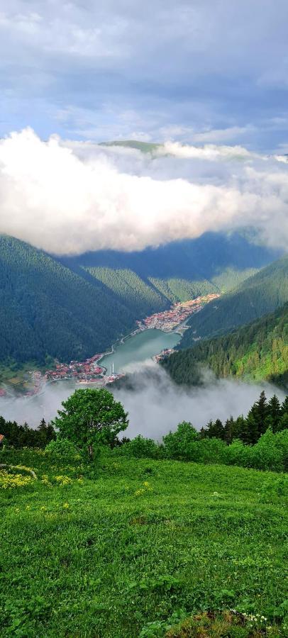 Yesil Kosk Uzungöl