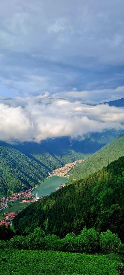 Yesil Kosk 3* Uzungöl
